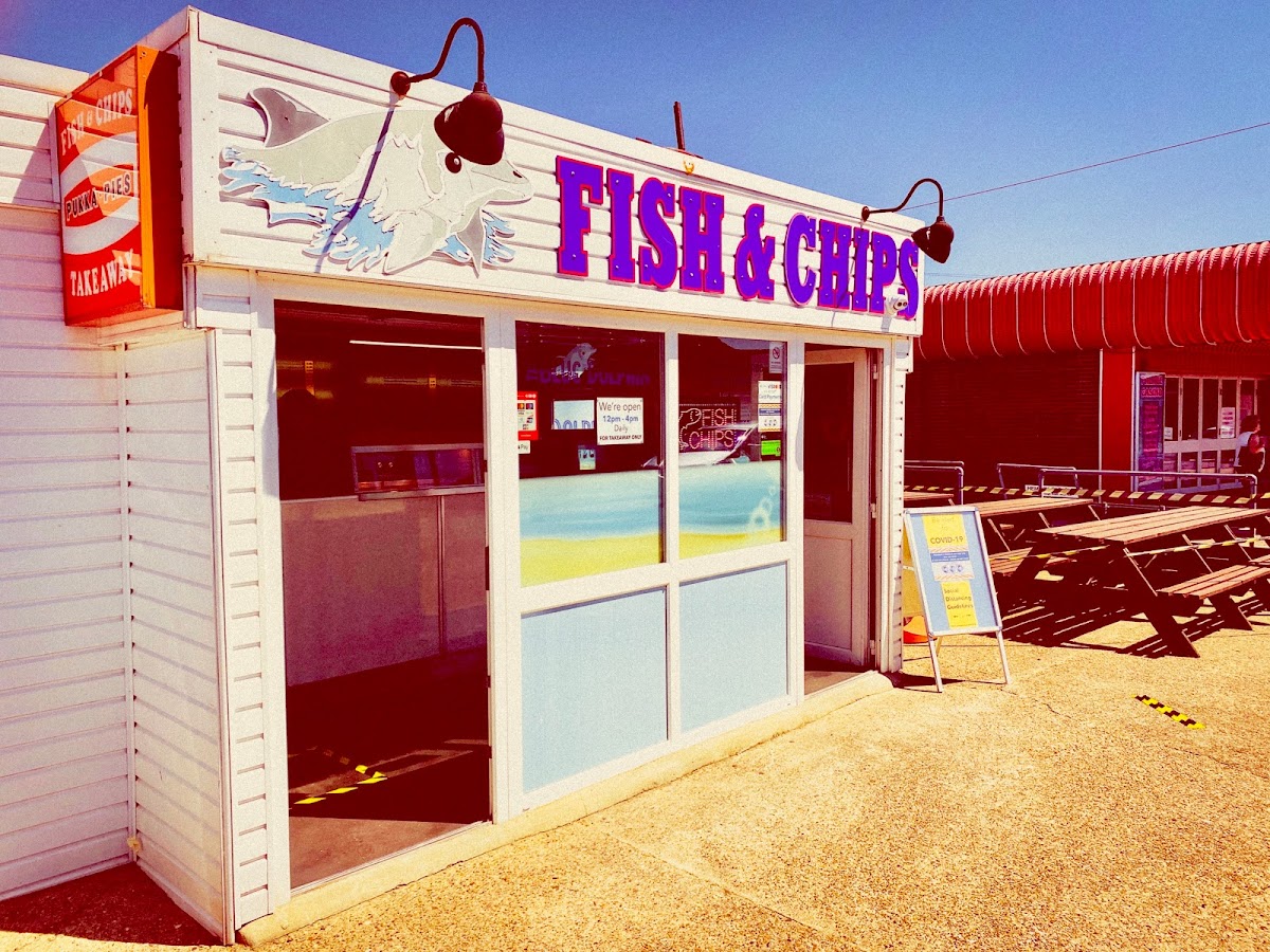 The Blue Dolphin